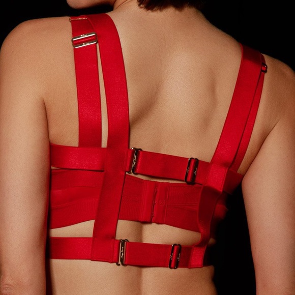 ❤️🔥 HONEY BIRDETTE GIA BRA & HARNESS NWT SIZE 32B RED - Picture 3 of 10